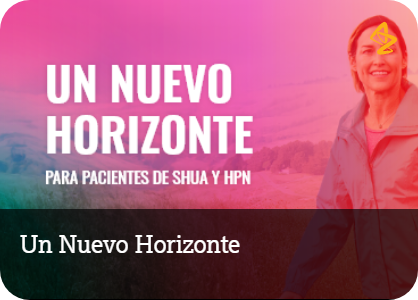 Descripción de la imagen